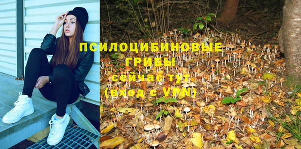 apvp Алексин