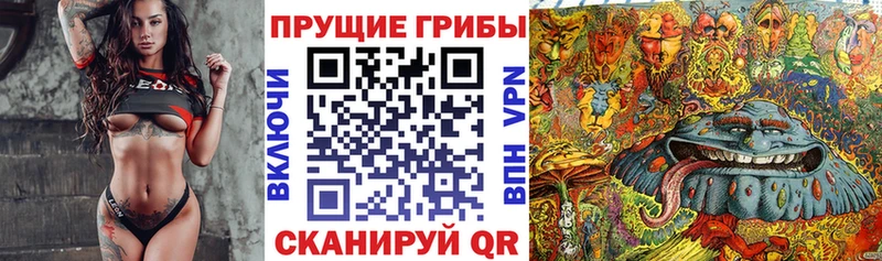 mega ссылки  Звенигово  Псилоцибиновые грибы ЛСД 